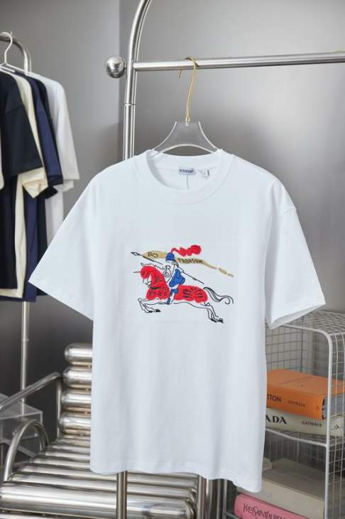 Picture of Burberry T Shirts Short _SKUBurberryS-XLhgntx5819558